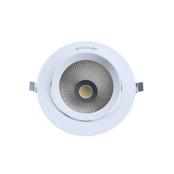 LED trunk downlight - ecowat lighting